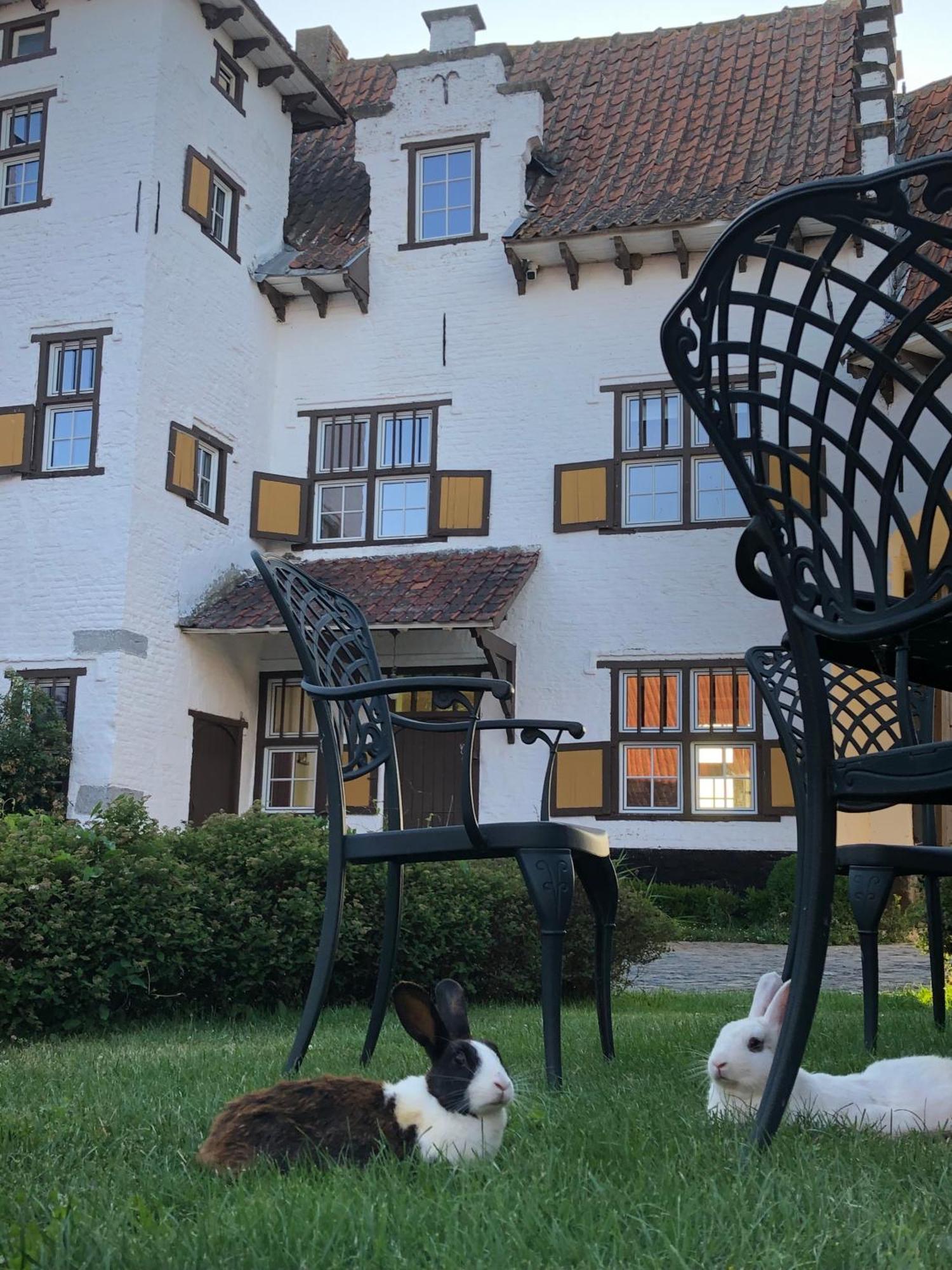 Hotel Ferme Delgueule Tournai Esterno foto
